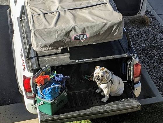 Camping with Your Pickup Truck