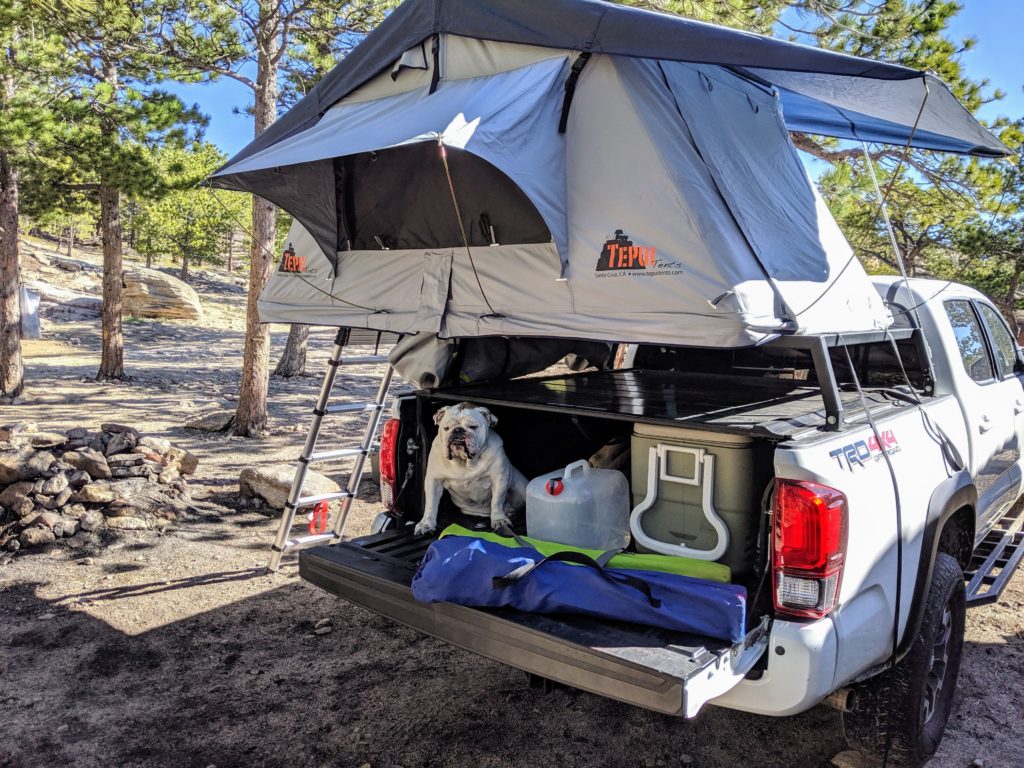 Overlanding truck set up with tent. An English Bulldog sits on the open tailgate with other camping accessories.